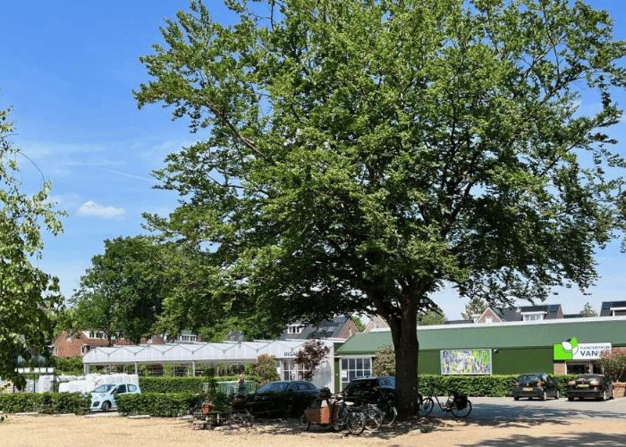 Tuincentrum van Ee