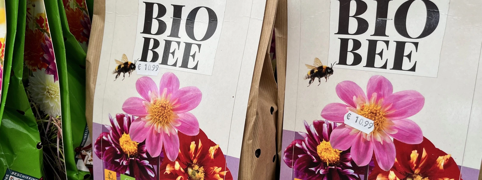 Biologische Dahlia's