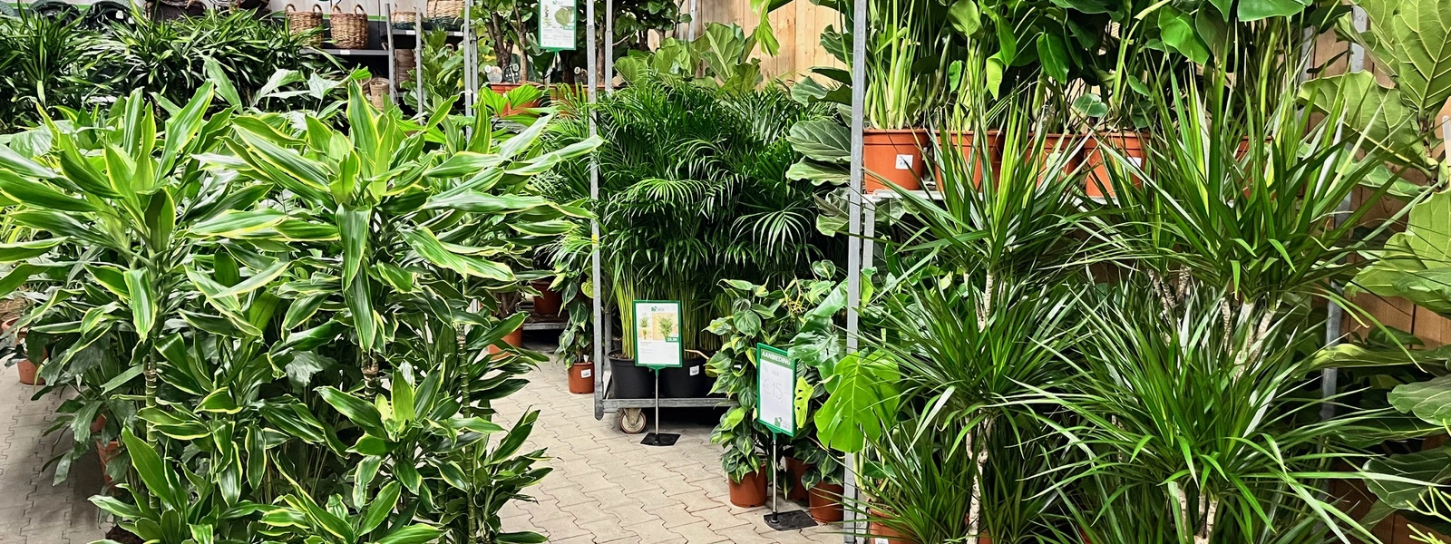 Creëer een bladerdek van groen