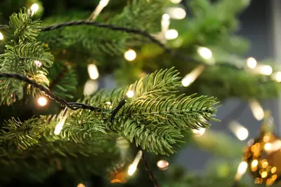 Hoeveel lampjes in de kerstboom?