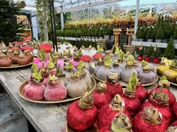Tuincentrum van Ee