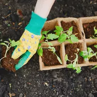 Aanplanten & Kweken