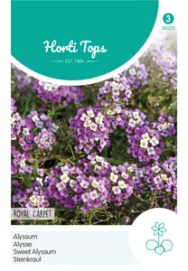 Alyssum Royal Carpet