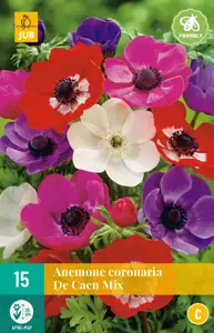 Anemone cor. De Caen Mix