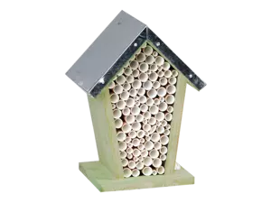 Bijenhuis - afbeelding 2