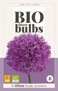 Allium Purple Sensation - bio