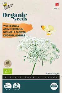 Ammi Majus, Witte Dille