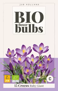 Crocus (tommasinianus) Ruby Giant - bio