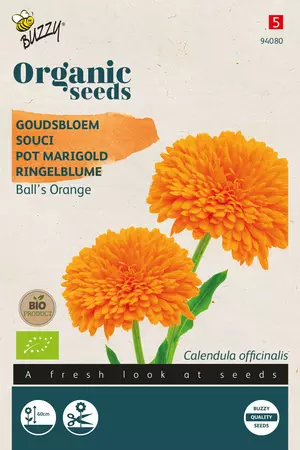 Calendula, Goudsbloem Ball's Orange