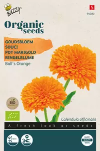 Calendula, Goudsbloem Ball's Orange