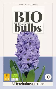 Hyacinthus Delft Blue - bio