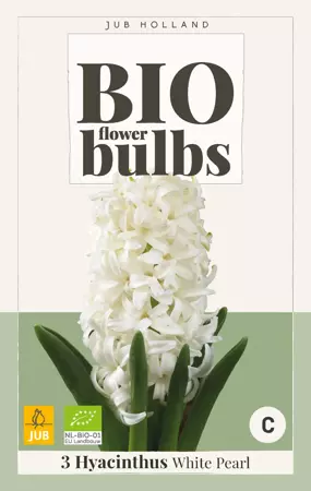 Hyacinthus White Pearl - bio