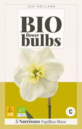 Narcissus Papillon Blanc - bio