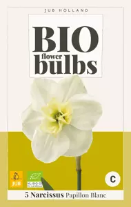 Narcissus Papillon Blanc - bio