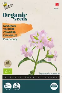 Saponaria, Koekruid Pink Beauty