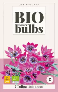 Tulipa Little Beauty - bio