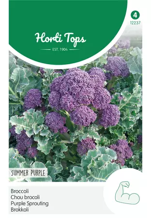 Broccoli Summer Purple