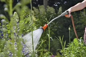 Broes met verlengstuk - afbeelding 2