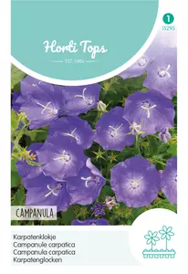 Campanula, Karpatenklokje blauw