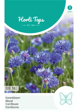 Centaurea, Korenbloem Blue Ball
