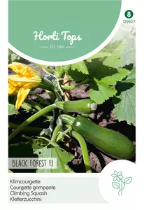 Courgette Black Forest F1 (klimmend)