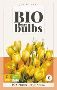 Crocus Golden Yellow - bio