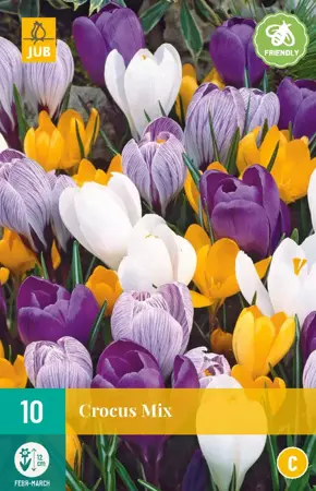 Crocus grootbloemig Mix