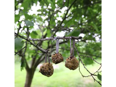 Doe-het-zelf vogelvoer dennenappels - afbeelding 2