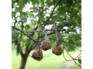 Doe-het-zelf vogelvoer dennenappels - afbeelding 2