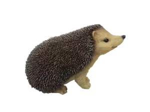 Egel l - afbeelding 2
