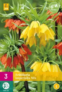 Fritillaria imperialis Mix