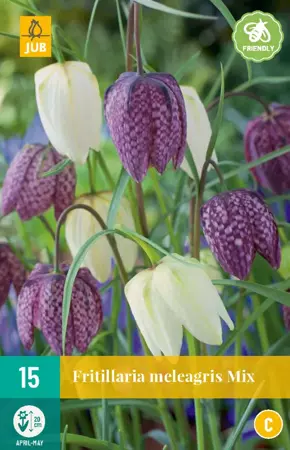 Fritillaria meleagris Mix