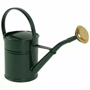 Gieter metaal groen 2l - afbeelding 2