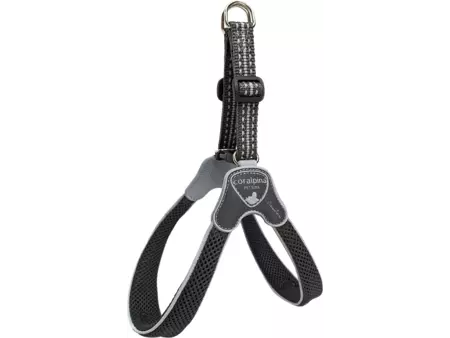 Harness cinq. zwrt nr.1 c100bg010
