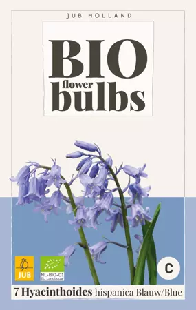 Hyacinthushoides hispanica Blauw - bio