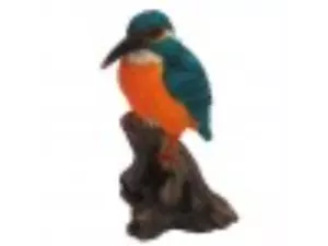 IJSVOGEL