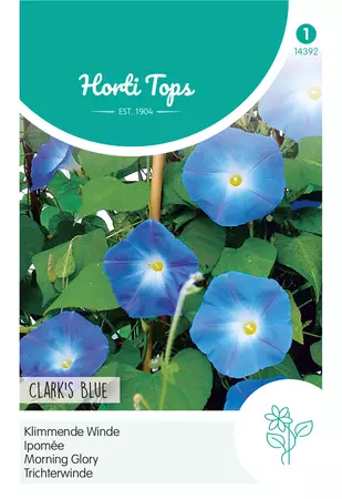 Ipomoea, Klimmende Winde Clark's Blue