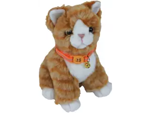 Kitten halsb.poly.neon refl oranje - afbeelding 2