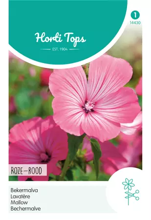 Lavatera, Bekermalva Roze-rood