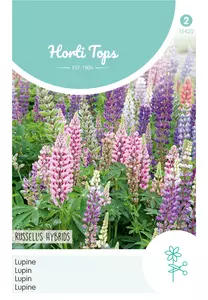 Lupinus, Lupine Russell's Hybrids gemengd