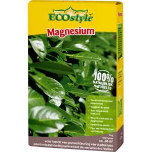 Magnesium 1 kg