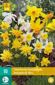 Narcissus Botanisch Mix