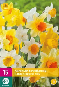 Narcissus Grootkronig Mix