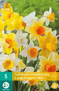 Narcissus Grootkronig Mix