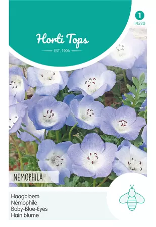 Nemophila, Haagbloem Hemelsblauw