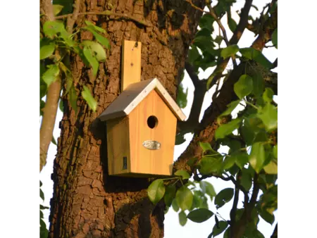 Nestkast groen - afbeelding 3