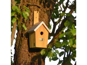 Nestkast groen - afbeelding 3