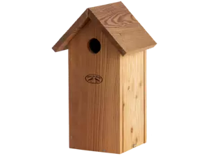Nestkast koolmees douglas hout - afbeelding 3