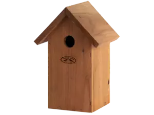 Nestkast pimpelmees douglas hout - afbeelding 3