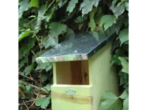 Nestkast roodborst - afbeelding 3